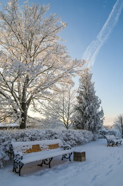 En vacker stadspark med träd täckta av hesparfrost — Stockfoto