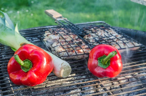 Fleisch und Gemüse auf dem Grill kochen — Stockfoto