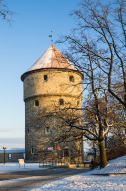 Sokakları ve tarihi kent mimarisi Estonya sermaye