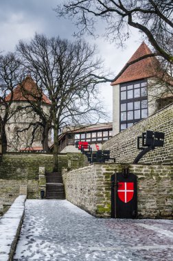 Danimarka Kral'ın Bahçe Tallinn, Estonya