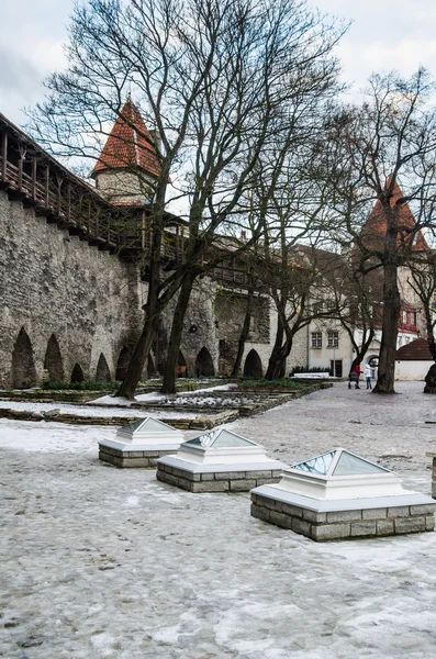 Ludzie chodzą w ogrodzie król Danii w Tallinnie — Zdjęcie stockowe