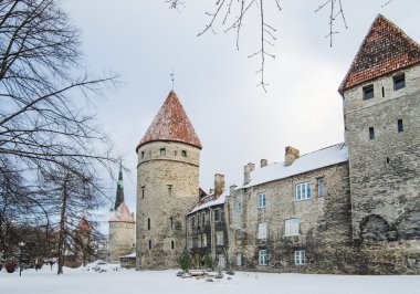 Bir sur eski Tallinn Park'ta