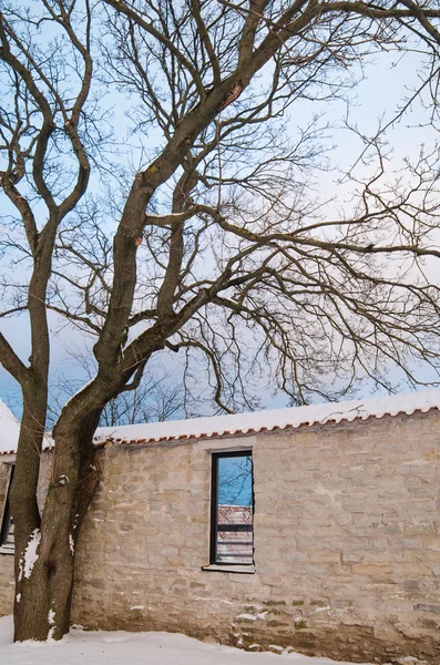 Vista de inverno do Tallinn velho — Fotografia de Stock