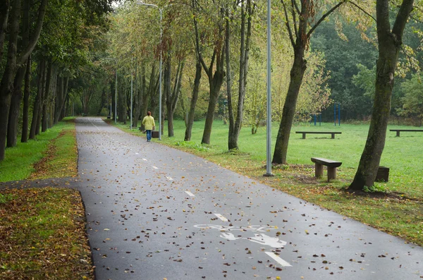 Sokak sonbahar Park düşmüş yaprakları ile — Stok fotoğraf