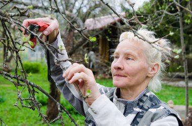 Kadın bir elma ağacının dalını kesiyor, bahçede bir pınar. 