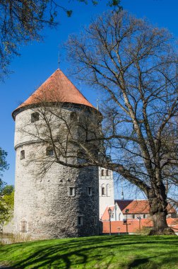 Eski Tallinn güzel bahar günü görünümü
