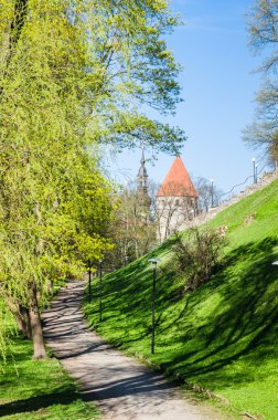 Tallinn, güzel bahar günü parkta
