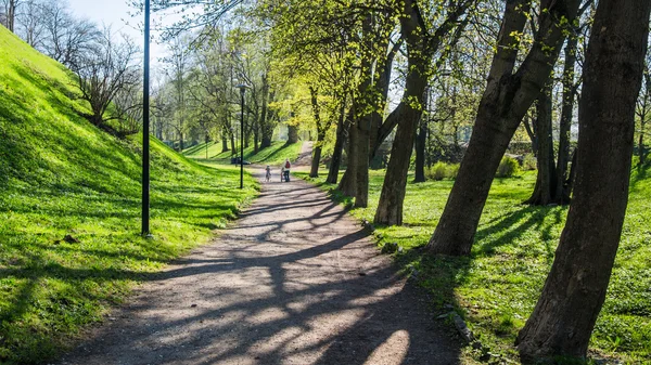 Park w Tallinie, piękny wiosenny dzień — Zdjęcie stockowe