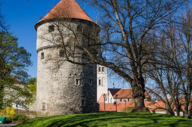 Eski Tallinn güzel bahar günü görünümü