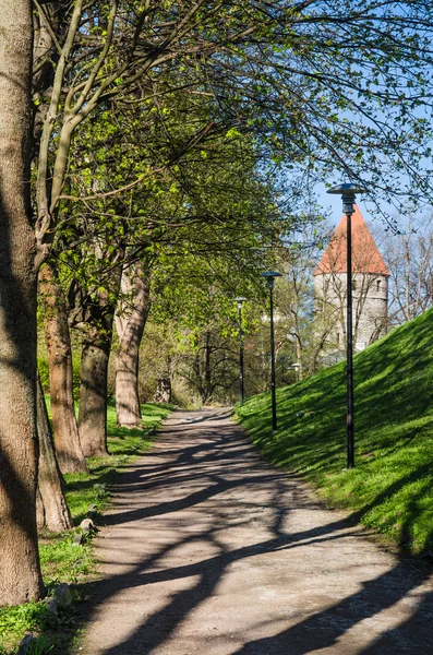 Park w Tallinie, piękny wiosenny dzień — Zdjęcie stockowe