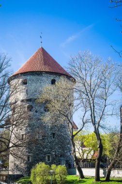 Eski Tallinn güzel bahar günü görünümü