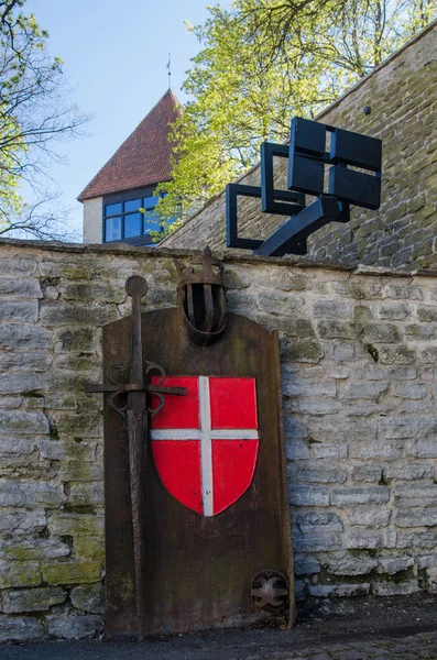 Danish King's Garden in Tallinn, spring view — Stock Photo, Image