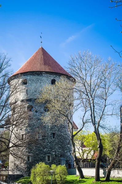 Weergave van het oude Tallinn mooie lentedag — Stockfoto