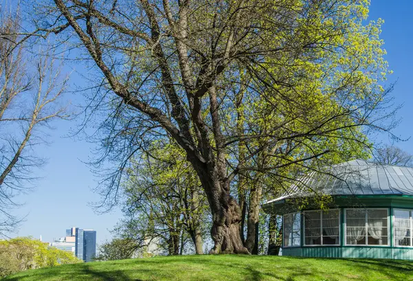 Harju Hill in Tallinn, a spring day — Stock Photo, Image