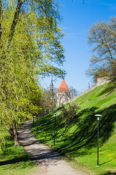 Tallinn, güzel bahar günü parkta