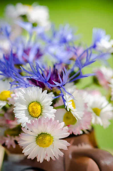 Buquê de flores de campo, close-up — Fotografia de Stock