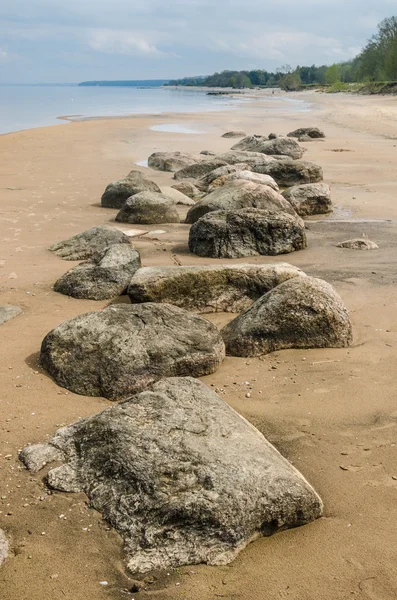 Stony on coast of Baltic sea early in the morning — Stock Photo, Image