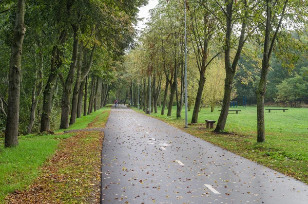 Allée aux feuilles tombées dans le parc d'automne — Photo