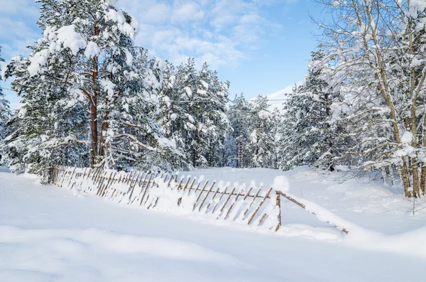 Sneeuw bedekte hek op het platteland. Viitna, Estland — Stockfoto