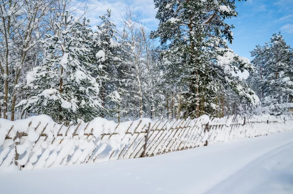 Besneeuwde landschap op het platteland. Viitna, Estland — Stockfoto