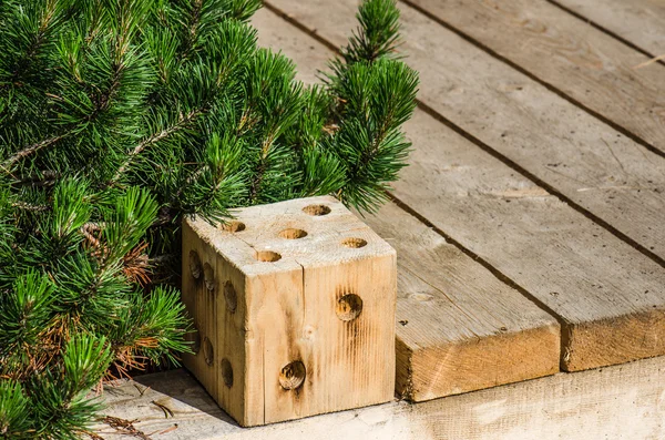 Path in a garden, a close up — Stock Photo, Image