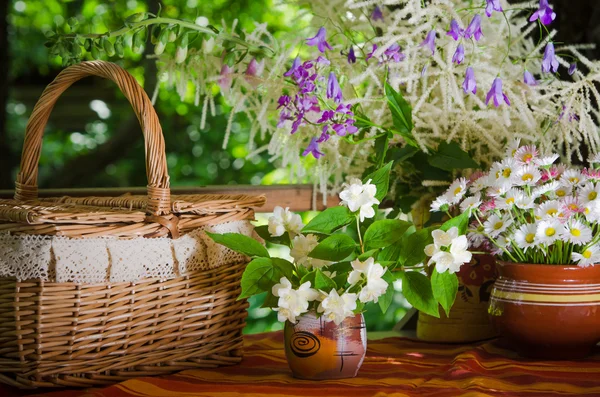 Een boeket van madeliefjes in een pot op tafel voor een picknick — Stockfoto