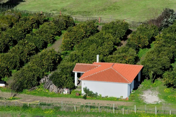 Pequena exploração agrícola Sardenha Fotos De Bancos De Imagens