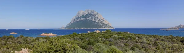 Tavolara-øen Sardinien - Stock-foto