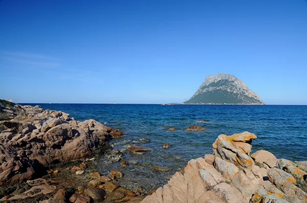 Ilha de Tavolara Sardenha Fotos De Bancos De Imagens