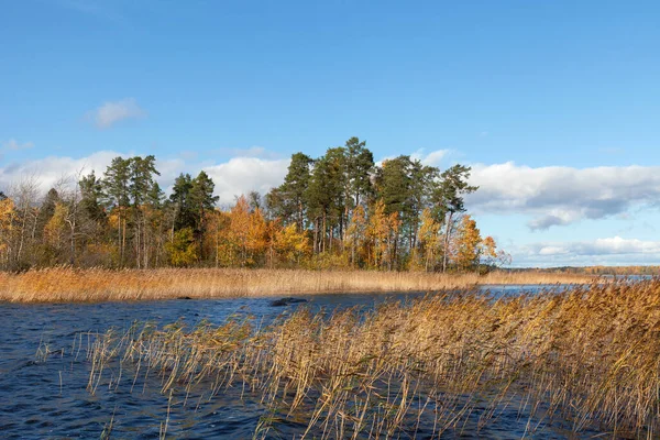 Canal entre deux petites îles, tranquille paysage d'automne Images De Stock Libres De Droits