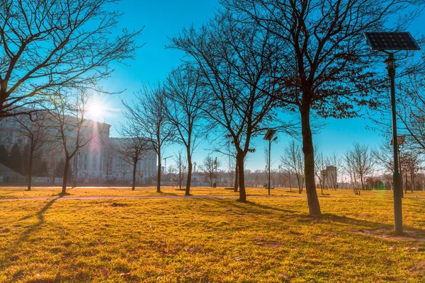 Sonbahar sokakta park