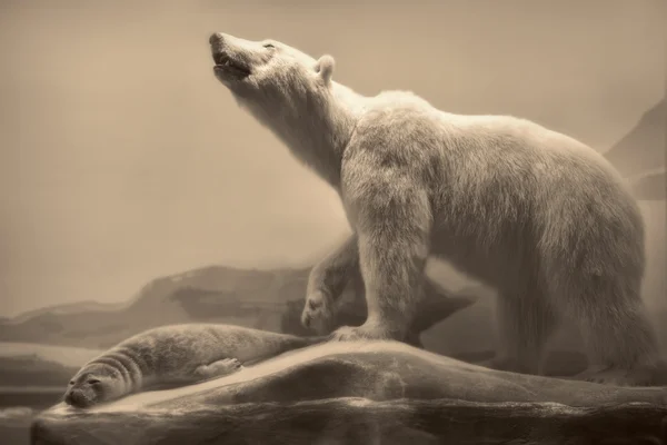 Scène animalière Images De Stock Libres De Droits