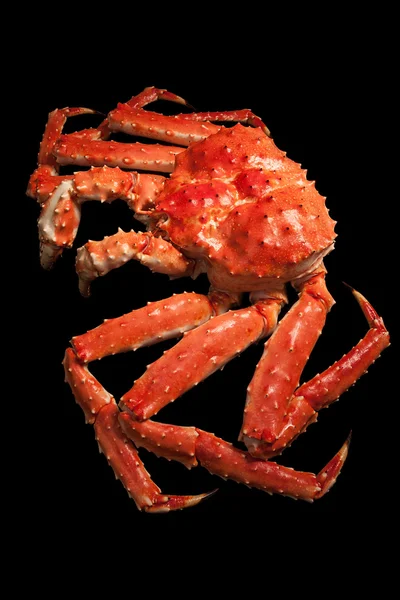 Siyah arka plan üzerine izole kırmızı Kral Yengeç