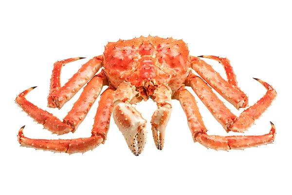 孤立在白色背景上的红色帝王蟹 — 图库照片