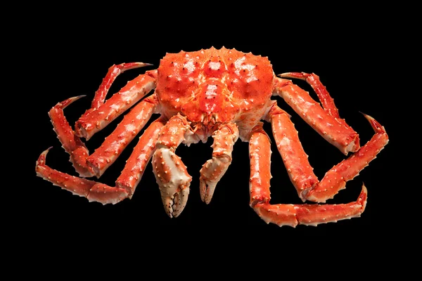 Büyük Kızıl Kral siyah arka plan üzerine izole kamchatsky Yengeç