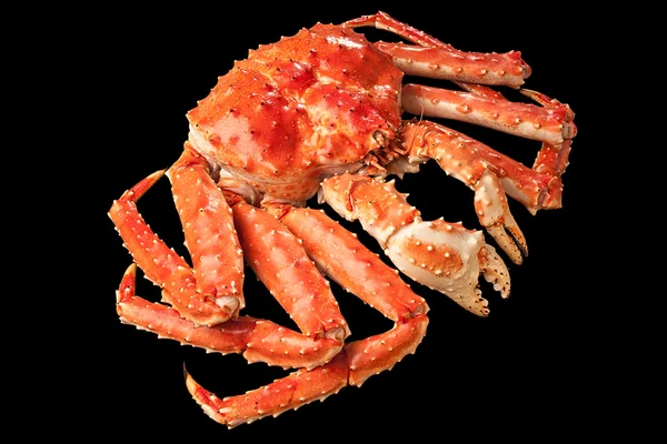 Siyah zemin üzerine kırmızı Kral Yengeç Üstten Görünüm