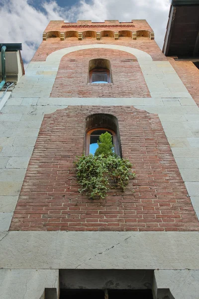 Fachada de edificio antiguo con plantas decorativas en el centro de la ciudad. Vi. — Foto de Stock