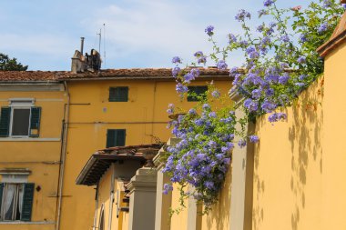 Pisa, İtalya'nın tarihi merkezinde eski evleri