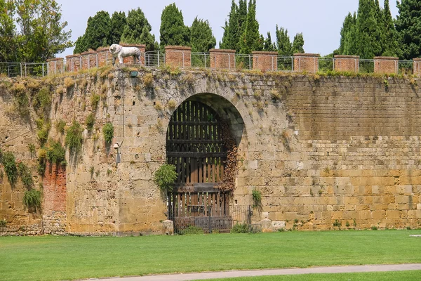 Antika befäst mur och utfärda utegångsförbud för med staty av lejon. Pisa, Italien — Stockfoto