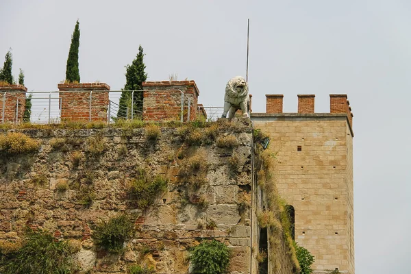 Antique fortified wall and gate with statue of lion. Pisa, Italy — Stock Photo, Image