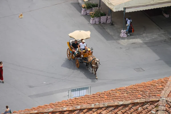 Horse-drawn carriage with tourists on Piazza del Duomo. Pisa, It