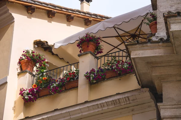 Bloemen op het terras van het Italiaanse huis — Stockfoto