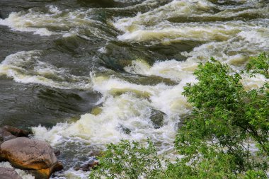 Ukrayna'da bir nehir üzerinde rapids