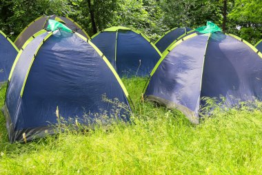 Sabah ormanda kamp
