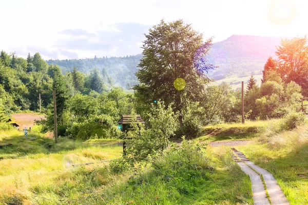 Vallée dans les Carpates par une journée ensoleillée — Photo