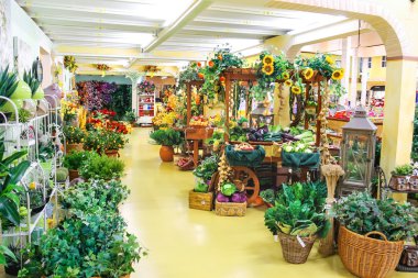 Bahçedeki süs bitkileri Mondoverde Merkezi. Taneto, İtalya
