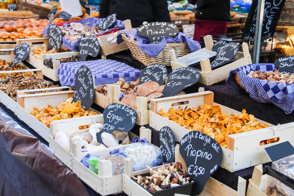 Sale of mushrooms in the Dutch market