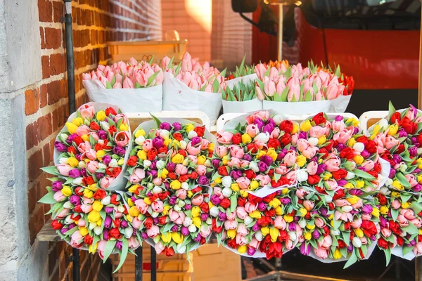 Försäljning av tulpaner i den nederländska marknaden. — Stockfoto