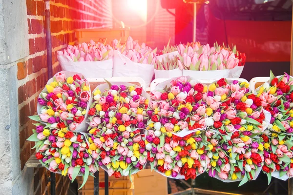 Venda de tulipas no mercado neerlandês . — Fotografia de Stock