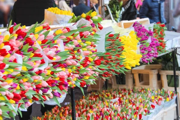 Försäljning av tulpaner i den nederländska marknaden. — Stockfoto